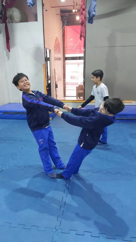 Ginástica artística escolar